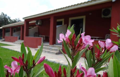 LEFKES Apartments Sidari - Foto 12