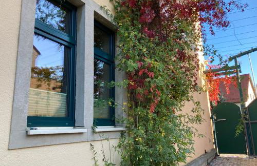 FEWO 1 Landeskrone Dresden - Foto 13