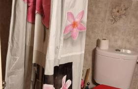 Location cap corse - Foto 9