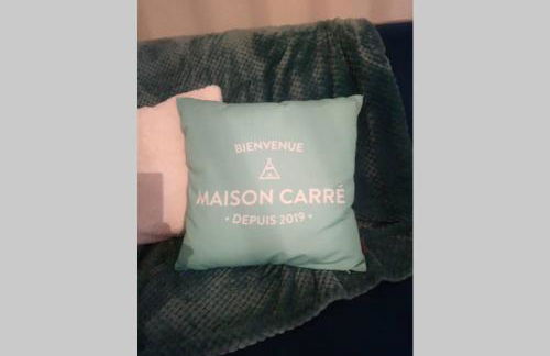 GITE LE SAINT-AMOUR - Foto 8