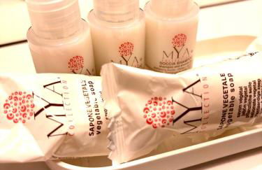 Artesina sulle Piste - Foto 14