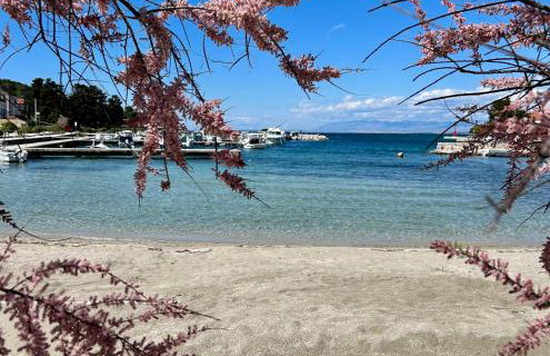 Villa Runčika Luxury Apartment - Photo 34