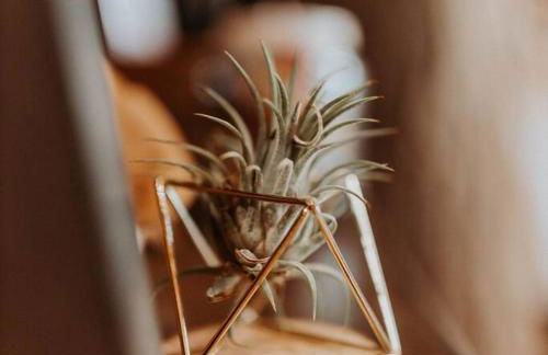 Treehouse on the Water -Eagles Nest-20 ft high - Foto 19