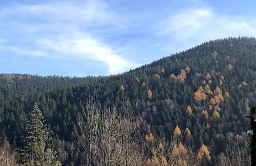 Happy Fuchsbau Ferienwohnung - Foto 17