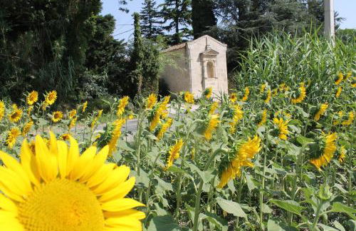 Mas de la Chapelle Sainte-Elisabeth - Foto 33
