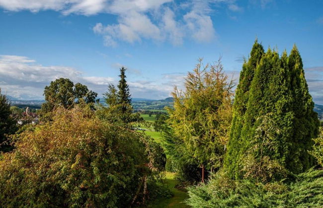 Sunny Terrace Apartment - Foto 27