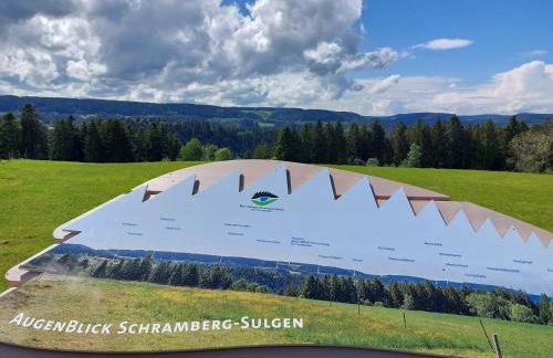 Ferienwohnung Hardt im Schwarzwald - Foto 26