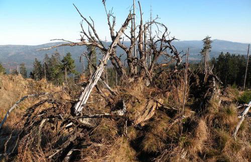 Ferienwohnung Völkl - Foto 19