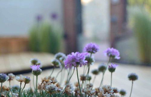 Casa Rural Bigotes - Foto 27