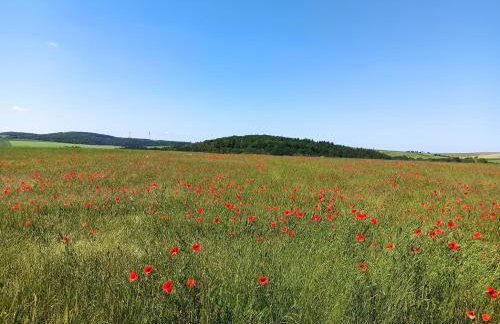 Fewo Höhbergblick - Foto 8