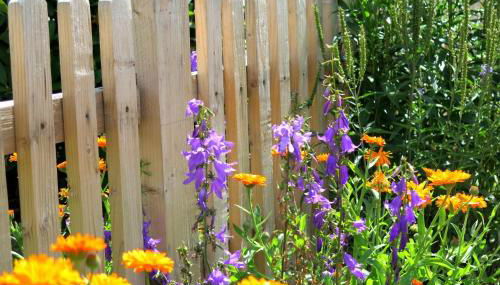 Haus Intlekofer - Foto 2