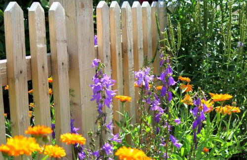 Haus Intlekofer - Foto 2