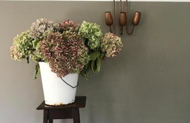 Maison Bérard - Foto 7