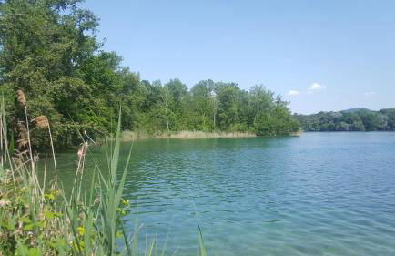 Gästehaus Casa Luna - Paradiesische Ferienwohnungen am Kaiserstuhl! - Foto 28