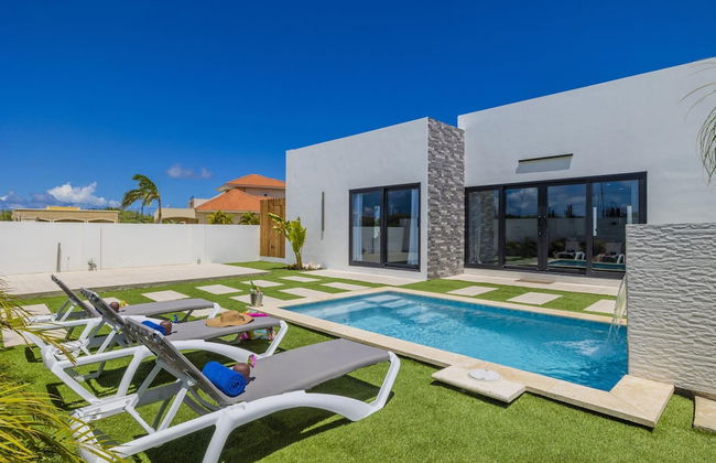 Brand NEW 3BR w Private Pool Walk to Palm Beach - Photo 8