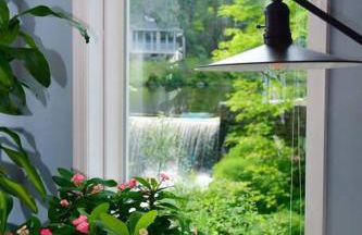 Luxury Cottage at Millpond Falls - Foto 16