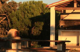 Monte Sardinha - Foto 52