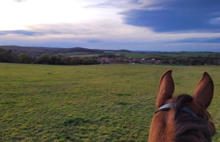 Falkenhof Meisdorf - Foto 10