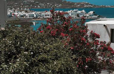 Sunset View garden house of Mykonos - Foto 43