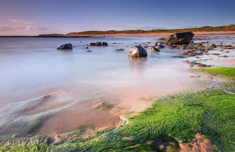 Sugar Sands - Foto 20