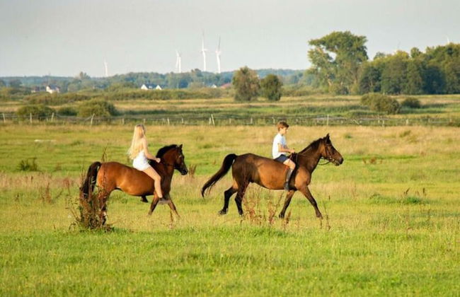 Wooden Summer Houses, Bobolin - Photo 11