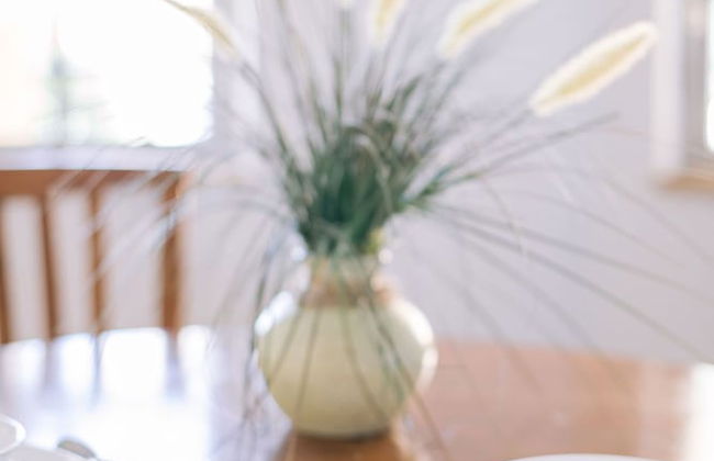 Vistalmar Beach Resort - Foto 29