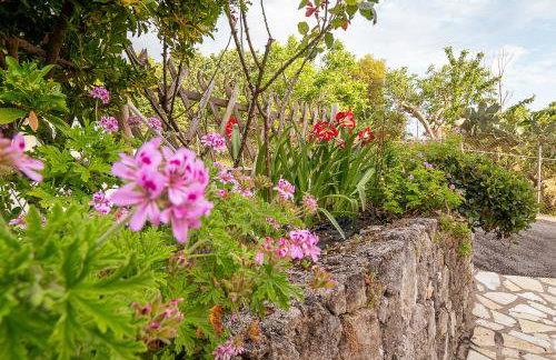 Villa Andromachi - Foto 50