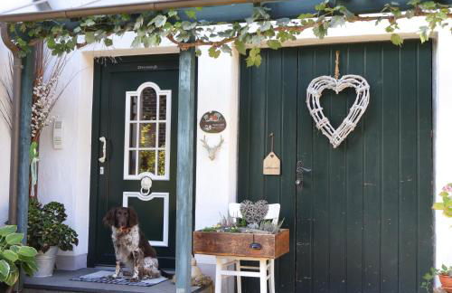 Fell & Pfote - Foto 23