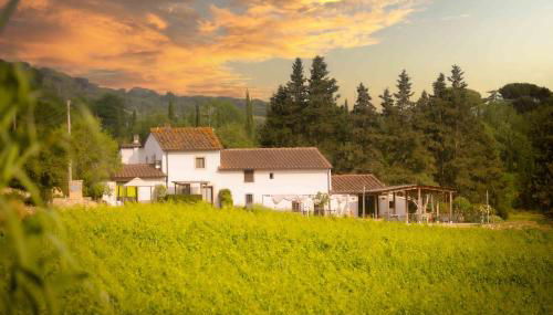 Azienda Agricola I Colli di Marliano - Photo 2