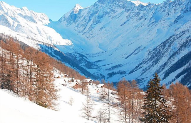 Swiss Chalet - Foto 12