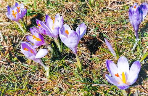 Willa Rąbanisko z sauną fińską - Foto 80