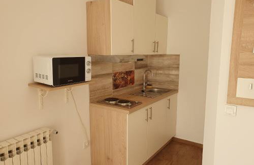 Studio apartmani Toplička bajka - Foto 12