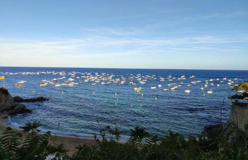 Blue Horizon - Foto 47