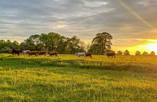 Lowndes House - Close to City Centre - Garden, Free Parking and Smart TV by Yoko Property - Foto 17