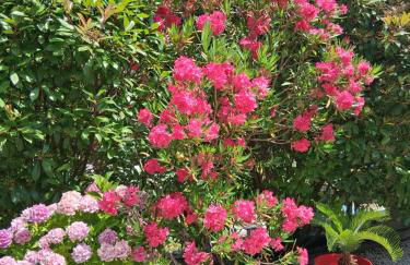 Rez de Jardin d'une Bastide VILLA LA GARDI avec Piscine privée - Foto 29