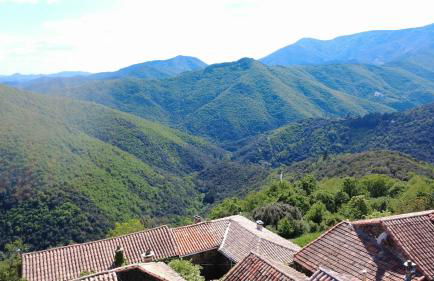 Le Châtaignier - Foto 16