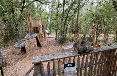 Grand gite & petit gite - Photo 13