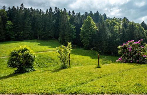 Schreinerhäusle nähe Titisee - Foto 62