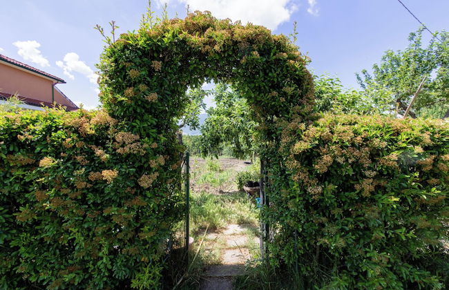 Casa Fiorella - Irpinia - Foto 26