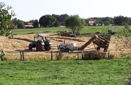 Gemütliche Fewo auf dem Resthof - Foto 16
