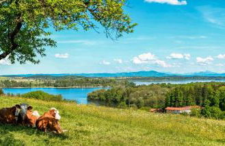 Ferienhaus Waldherr - Fewo 6 Pers - Photo 25