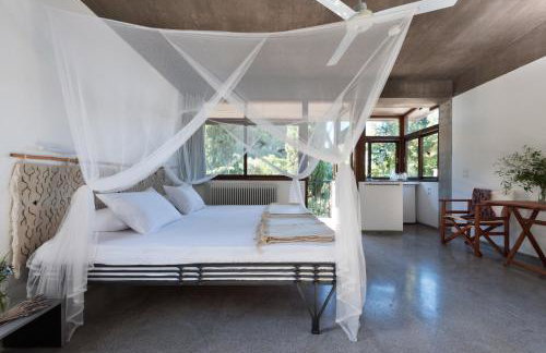 Studios Kyparissi & Spa - Photo 20