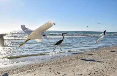 Sea Oats #303 - Foto 24