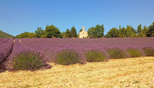 Mazet en provence pour 4, piscine chauffée privée, jardin clos privé, barbecue, chiens admis - Foto 2