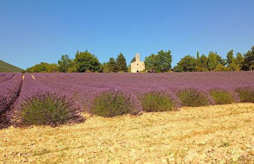 Mazet en provence pour 4, piscine chauffée privée, jardin clos privé, barbecue, chiens admis - Foto 2