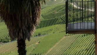 Sky & Vineyards - Mora - - Photo 2