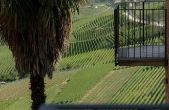 Sky & Vineyards - Mora - - Photo 2