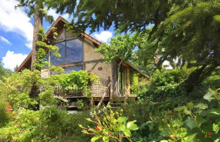 Truffe du Quercy - Le Colombié - Foto 1