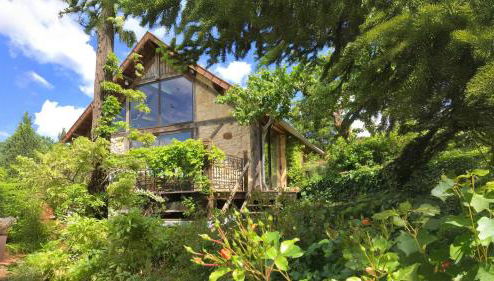 Truffe du Quercy - Le Colombié - Foto 1