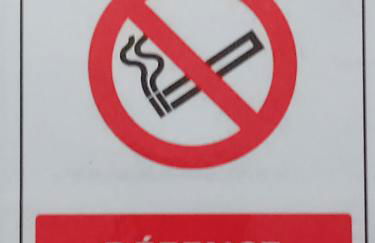 Monte Cristo - Foto 11